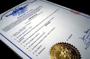 Read more about the article Haški apostil (ENG: APOSTILLE) – prevod i overa